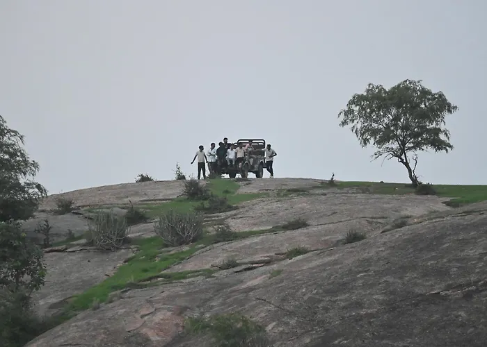 Jawai Empire Resort By Premier Hotels - Luxury Tent & Cottage Stay - Leopard Safari Near Jawai Dam